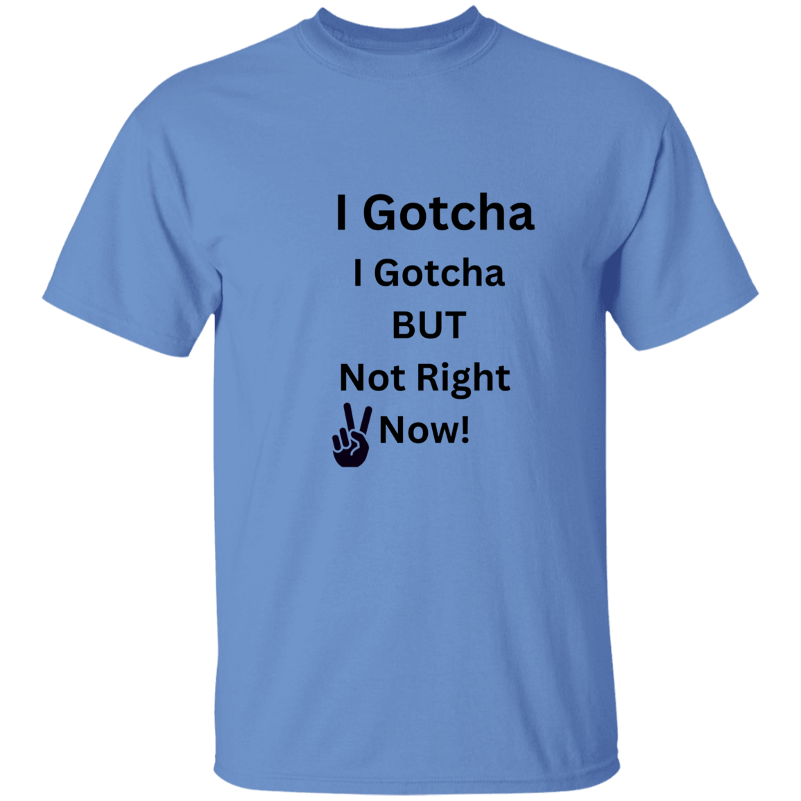 I Gotcha, I Gotcha But Not Right Now