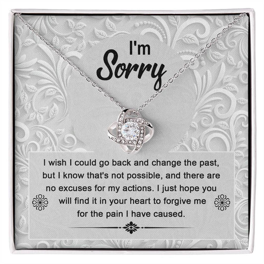 I'm Sorry-Change the Past